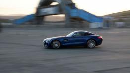 Mercedes-AMG GT 4.0 V8 - galeria redakcyjna - lewy bok