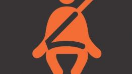 Kontrolki rozszyfrowane