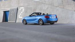 BMW Serii 2 Cabrio ujrzał światło dzienne