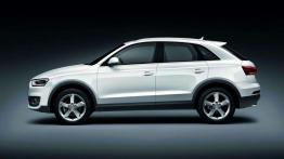 Audi Q3 - nowe działa wytoczone