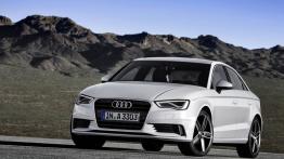 Audi A3 8V Limousine