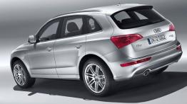 Audi Q5 S Line - widok z tyłu