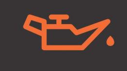 Kontrolki rozszyfrowane