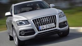 Audi Q5 S Line - widok z przodu