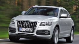 Audi Q5 S Line - widok z przodu