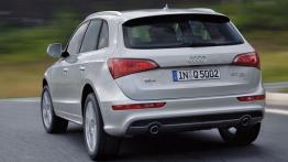 Audi Q5 S Line - widok z tyłu