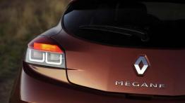 Renault Megane Coupe 1.5 dCi - Oryginalne i ekonomiczne