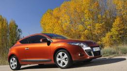 Renault Megane Coupe 1.5 dCi - Oryginalne i ekonomiczne