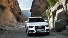 Audi Q3 - nowe działa wytoczone