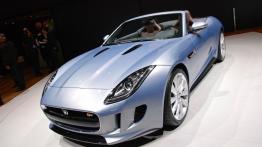 Geneva Motor Show 2013 - auta seryjne