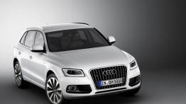 Audi Q5 Hybrid Facelifting - widok z przodu