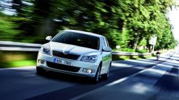 Skoda Octavia II GreenLine Kombi Facelifting - widok z przodu