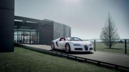 Bugatti Veyron Grand Sport Wei Long - widok z przodu