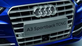 Audi A3 III Sportback TCNG - grill