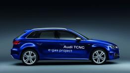 Audi A3 III Sportback TCNG - prawy bok