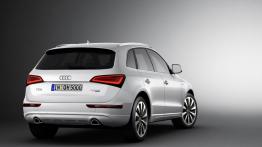 Audi Q5 Hybrid Facelifting - widok z tyłu