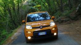 Fiat Panda III Trekking - widok z przodu