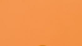 Lotus Elise S3 Facelifting - maska zamknięta