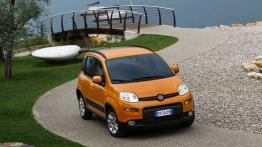Fiat Panda III Trekking - widok z góry