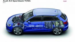 Audi A3 III Sportback TCNG - schemat konstrukcyjny auta