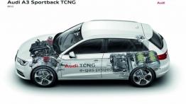 Audi A3 III Sportback TCNG - schemat konstrukcyjny auta