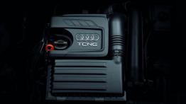 Audi A3 III Sportback TCNG - silnik