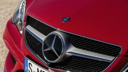 Mercedes E 500 Coupe Facelifting - grill