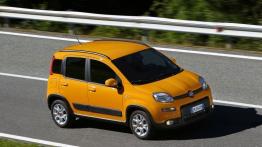Fiat Panda III Trekking - widok z góry