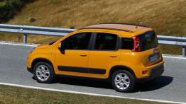 Fiat Panda III Trekking - widok z góry