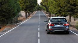 BMW serii 3 F31 Touring - widok z tyłu