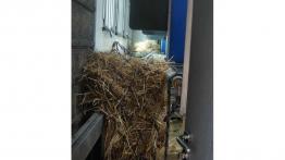 Bukmanka - kamper do przewozu koni