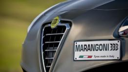 Alfa Romeo Giulietta G430 iMove Marangoni - grill