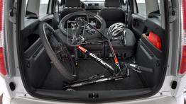 Używana Skoda Roomster - idealne auto dla polskiej rodziny