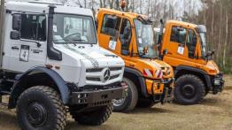 Unimog i Arocs - teren im niestraszny