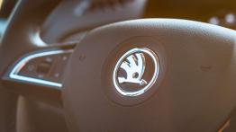 Skoda Fabia Combi 1.2 TSI Style - dla młodej rodziny