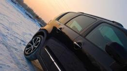 Citroen C3 Picasso - dusza artysty w służbie rodziny