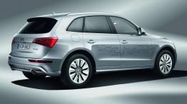 Ekologiczne monstrum - Audi Q5 hybrid quattro