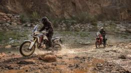 Honda CRF 1000L Africa Twin - Do Afryki i na miasto