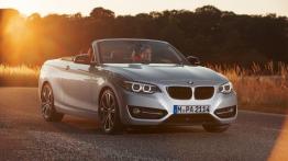 BMW Seria 2 F22-F23-F45-F46 Cabrio