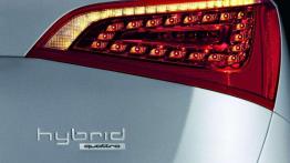 Ekologiczne monstrum - Audi Q5 hybrid quattro