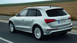 Ekologiczne monstrum - Audi Q5 hybrid quattro