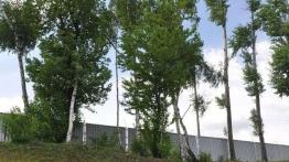 7-osobowy minivan w cenie kompaktu - Chevrolet Orlando