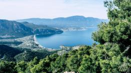 Porsche 911 (992). „To już nie to samo”