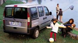 Fiat Doblo - widok z tyłu