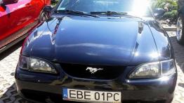 Mustang Race - prawie jak w USA