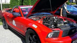 Mustang Race - prawie jak w USA