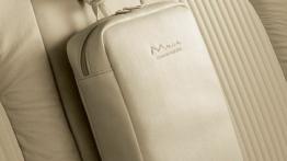 Lancia Musa - inny element wnętrza z tyłu