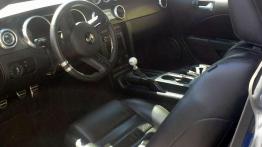 Mustang Race - prawie jak w USA