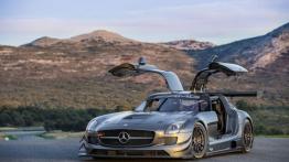 Mercedes SLS AMG GT3 45th Anniversary - widok z przodu