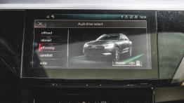 Audi e-tron. Czy tak wygląda przyszłość?